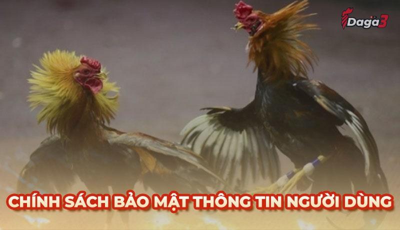 Chính sách bảo mật thông tin người dùng tại artoftarotdivination.top