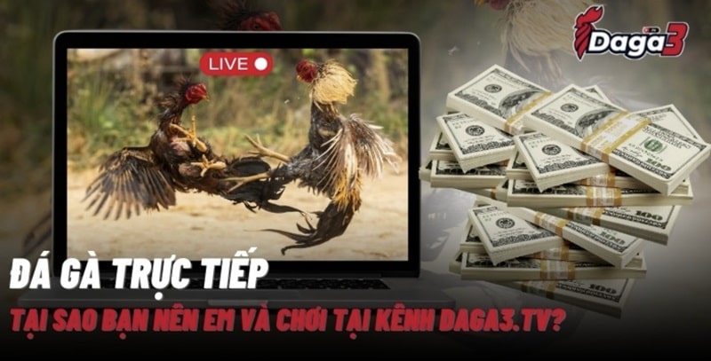 Giới thiệu về kênh đá gà trực tiếp thomo artoftarotdivination.top