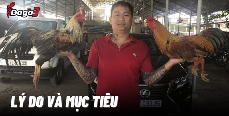 Mít Trà Cú sáng lập trang đá gà trực tiếp artoftarotdivination.top